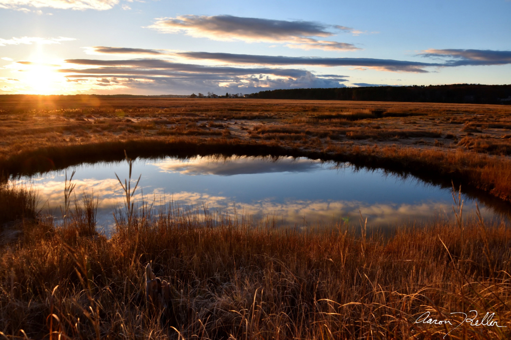 Marsh Reflections II