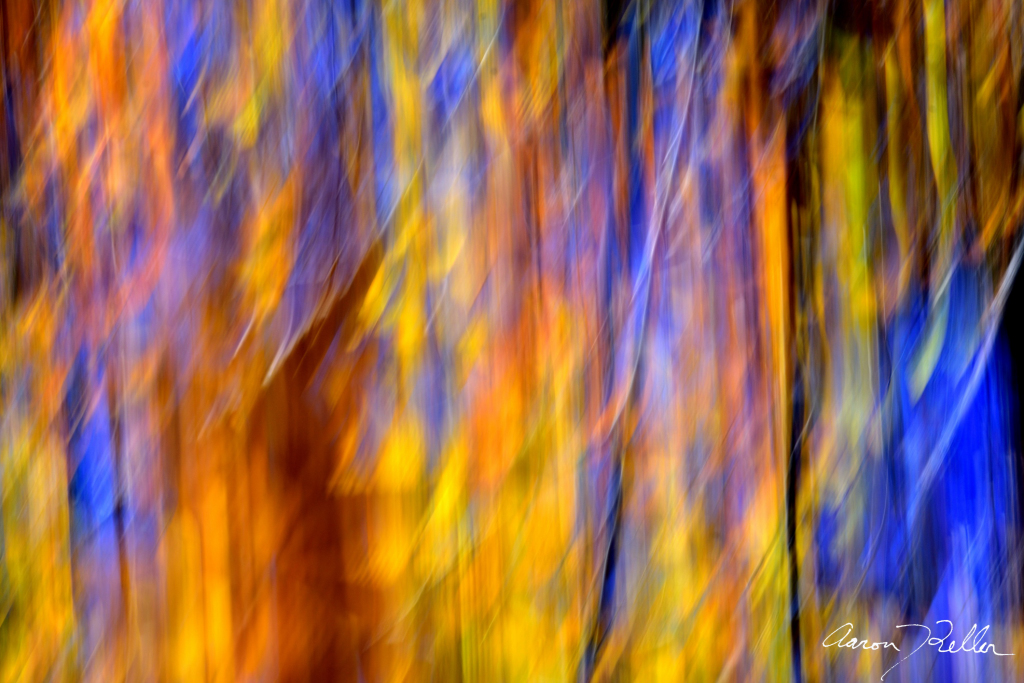 Fantasy of Fall Colors I