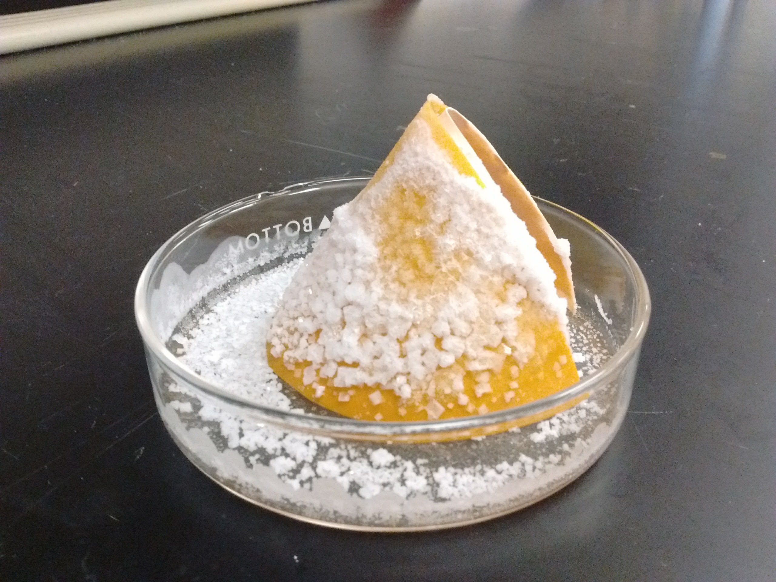 IMG_20171207_121146408 (809K)