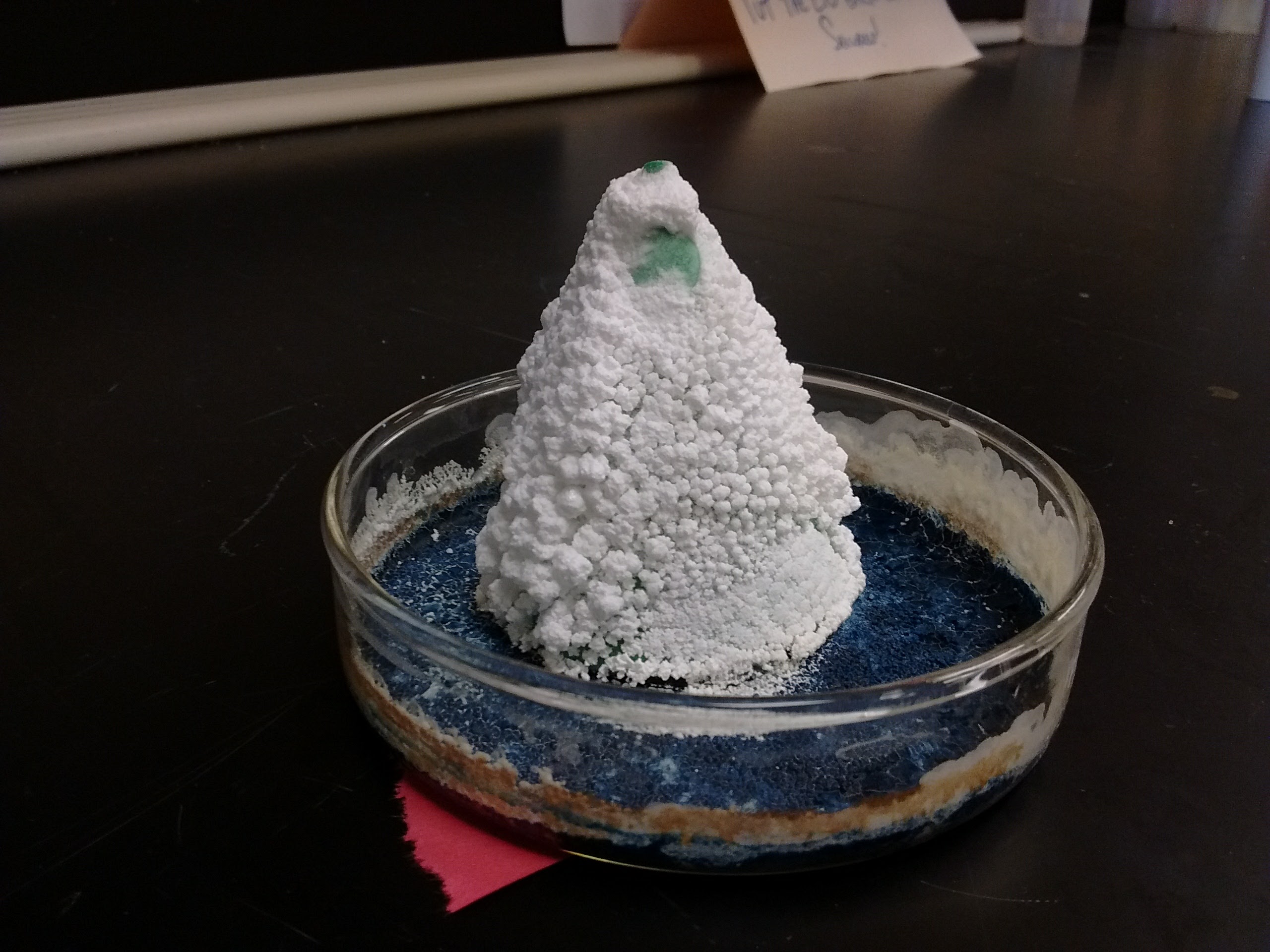 IMG_20171207_121241180 (548K)