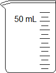 beaker.50mL