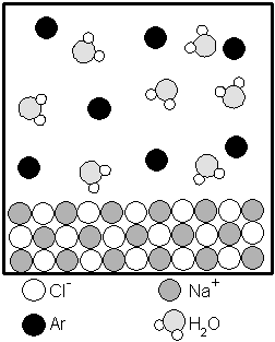 molecular.model-salt.Ar.H2O (4K)