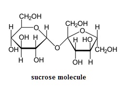 sucrose-molecule (12K)